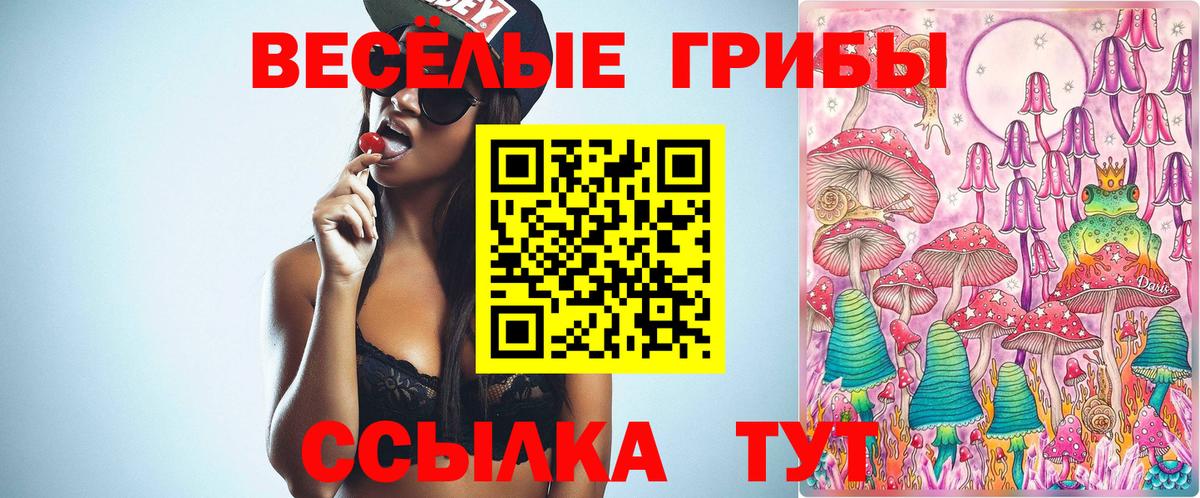 Галлюциногенные грибы GOLDEN TEACHER Донецк