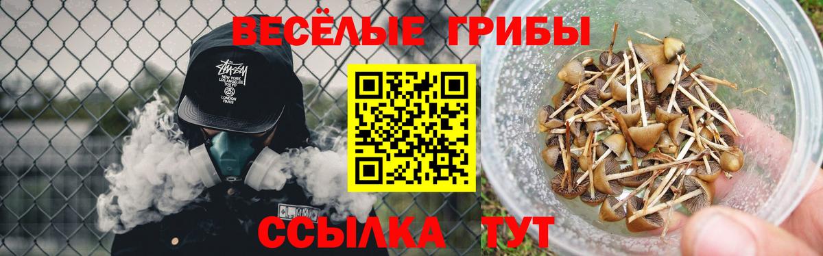 Галлюциногенные грибы Psilocybine cubensis  Вход с VPN  Галлюциногенные грибы ЛСД  Донецк 